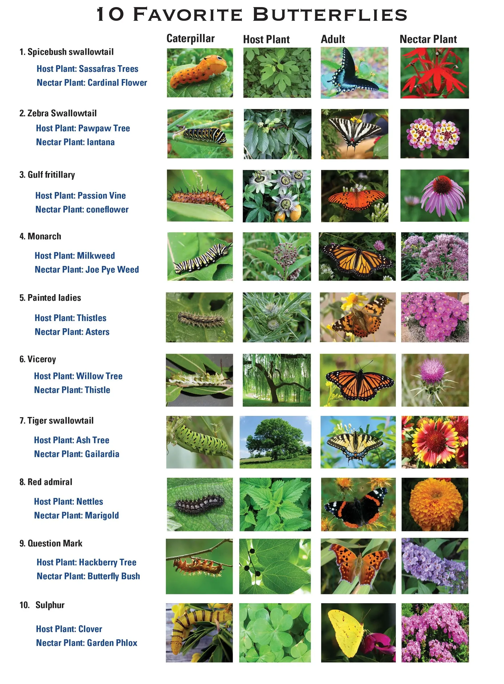 butterfly host plants (1)